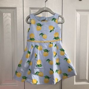 Stunning Janie and Jack Dress!